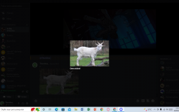 deitando cornos na porrada